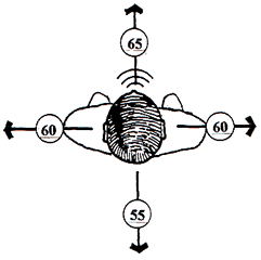 directivity